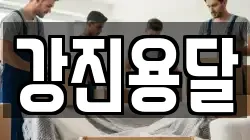강진용달