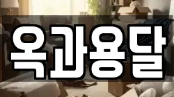 전남 곡성군 옥과면 이사,포장이사,반포장이사,원룸이사,사무실이사,용달이사,전국이사,보관이사
