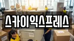 스카이익스프레스