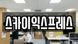 스카이익스프레스