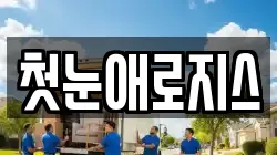 첫눈애로지스
