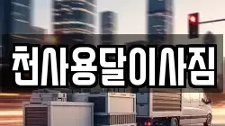 천사용달이사짐
