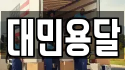 대민용달
