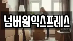 넘버원익스프레스
