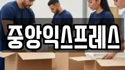 전남 보성군 보성읍 이사,포장이사,반포장이사,원룸이사,사무실이사,용달이사,전국이사,보관이사