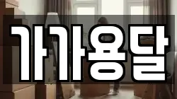 가가용달