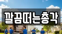깔끔떠는총각