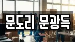 문도리 문광득