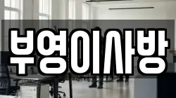 전남 여수시 공화동 이사,포장이사,반포장이사,원룸이사,사무실이사,용달이사,전국이사,보관이사