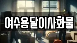 여수용달이사화물
