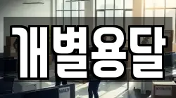 개별용달