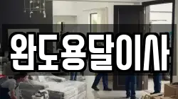 완도용달이사