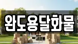 완도용달화물