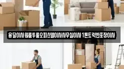 전남 장성군 황룡면 이사,포장이사,반포장이사,원룸이사,사무실이사,용달이사,전국이사,보관이사
