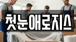 첫눈애로지스