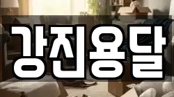 강진용달
