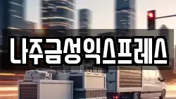 나주금성익스프레스