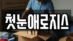 첫눈애로지스