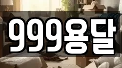 999용달