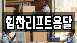 힘찬리프트용달