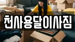 천사용달이사짐