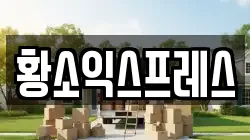 전라남도 무안군 무안읍 이사,포장이사,반포장이사,원룸이사,사무실이사,용달이사,전국이사,보관이사