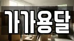 가가용달