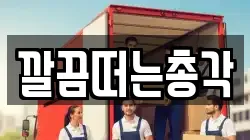 깔끔떠는총각