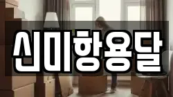 신미항용달