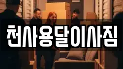 전라남도 신안군 이사,포장이사,반포장이사,원룸이사,사무실이사,용달이사,전국이사,보관이사
