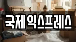 국제익스프레스