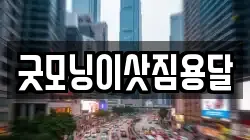 굿모닝이삿짐용달