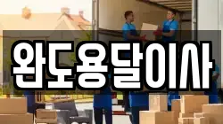 완도용달이사