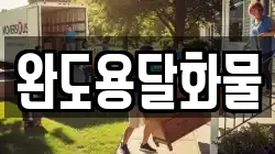 완도용달화물