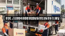 꽃마트,근조화환축하화환개업화분동양란감동꽃바구니배달