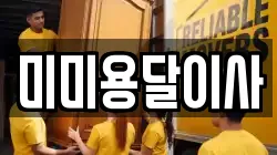 미미용달이사