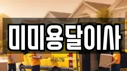 미미용달이사