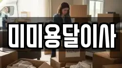 미미용달이사
