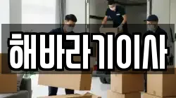 해바라기이사