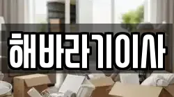 해바라기이사