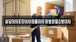 전북특별자치도 김제시 연정동 이사,포장이사,반포장이사,원룸이사,사무실이사,용달이사,전국이사,보관이사