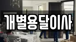 개별용달이사