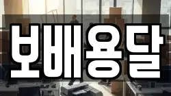 보배용달