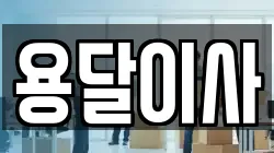 용달이사