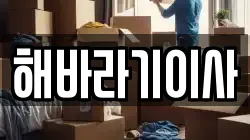 전북특별자치도 익산시 목천동 이사,포장이사,반포장이사,원룸이사,사무실이사,용달이사,전국이사,보관이사