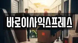 바로이사익스프레스