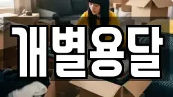 개별용달