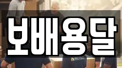 보배용달