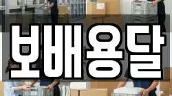 보배용달