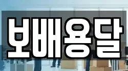 보배용달